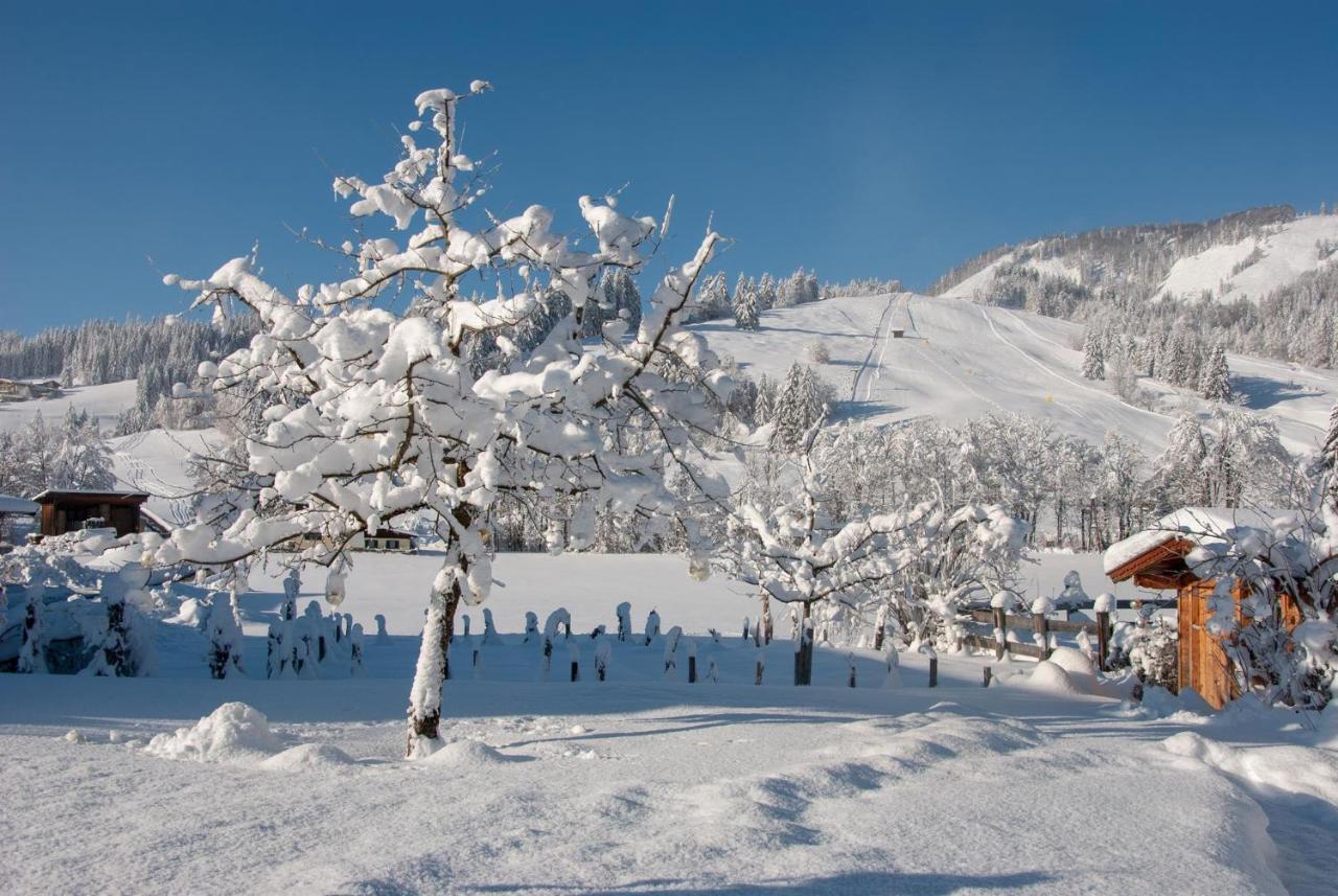 Das Glaagut - Familie Hain Hochfilzen Exterior foto